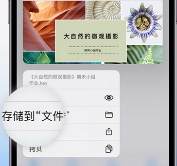 成华apple维修中心分享iPhone文件应用中存储和找到下载文件