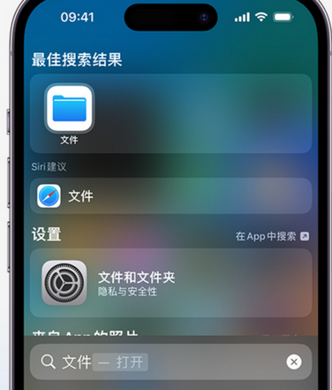 成华apple维修中心分享iPhone文件应用中存储和找到下载文件