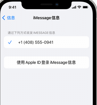 成华apple维修iPhone上无法正常发送iMessage信息 