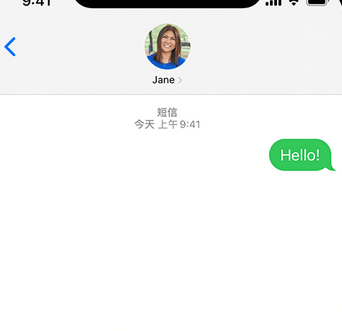 成华apple维修iPhone上无法正常发送iMessage信息