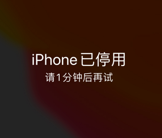 成华苹果手机维修分享:iPhone 显示“不可用”或“已停用”怎么办？还能保留数据吗？ 