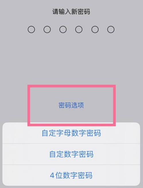 成华苹果14维修分享iPhone 14plus设置密码的方法 