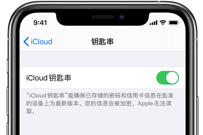 成华苹果手机维修分享在 iPhone 上开启 iCloud 钥匙串之后会储存哪些信息 