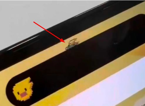 成华苹果14维修分享iPhone 14 Pro Max灵动岛怎么养宠物 