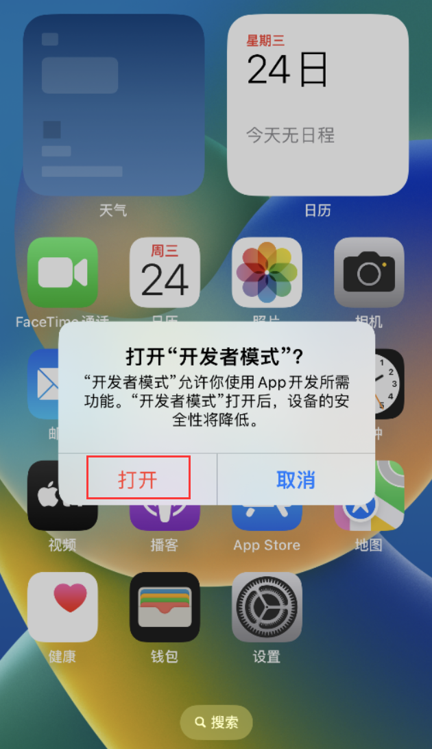 成华苹果手机维修分享如何打开开发者模式 
