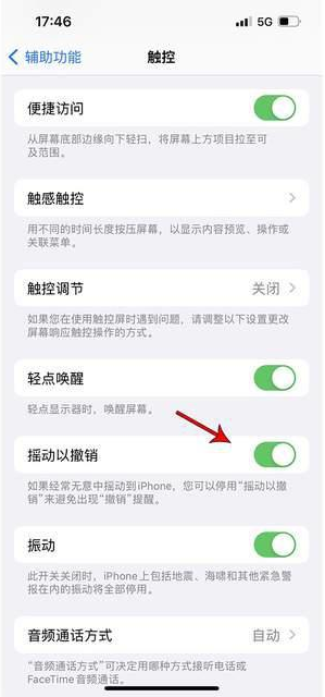 成华苹果手机维修分享iPhone手机如何设置摇一摇删除文字 