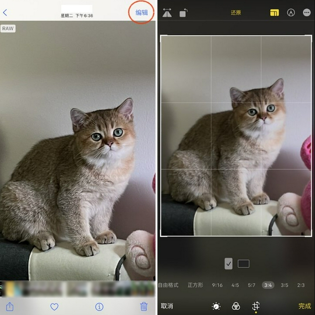 成华苹果手机维修分享苹果 iPhone 12 Pro 拍照会过度锐化 