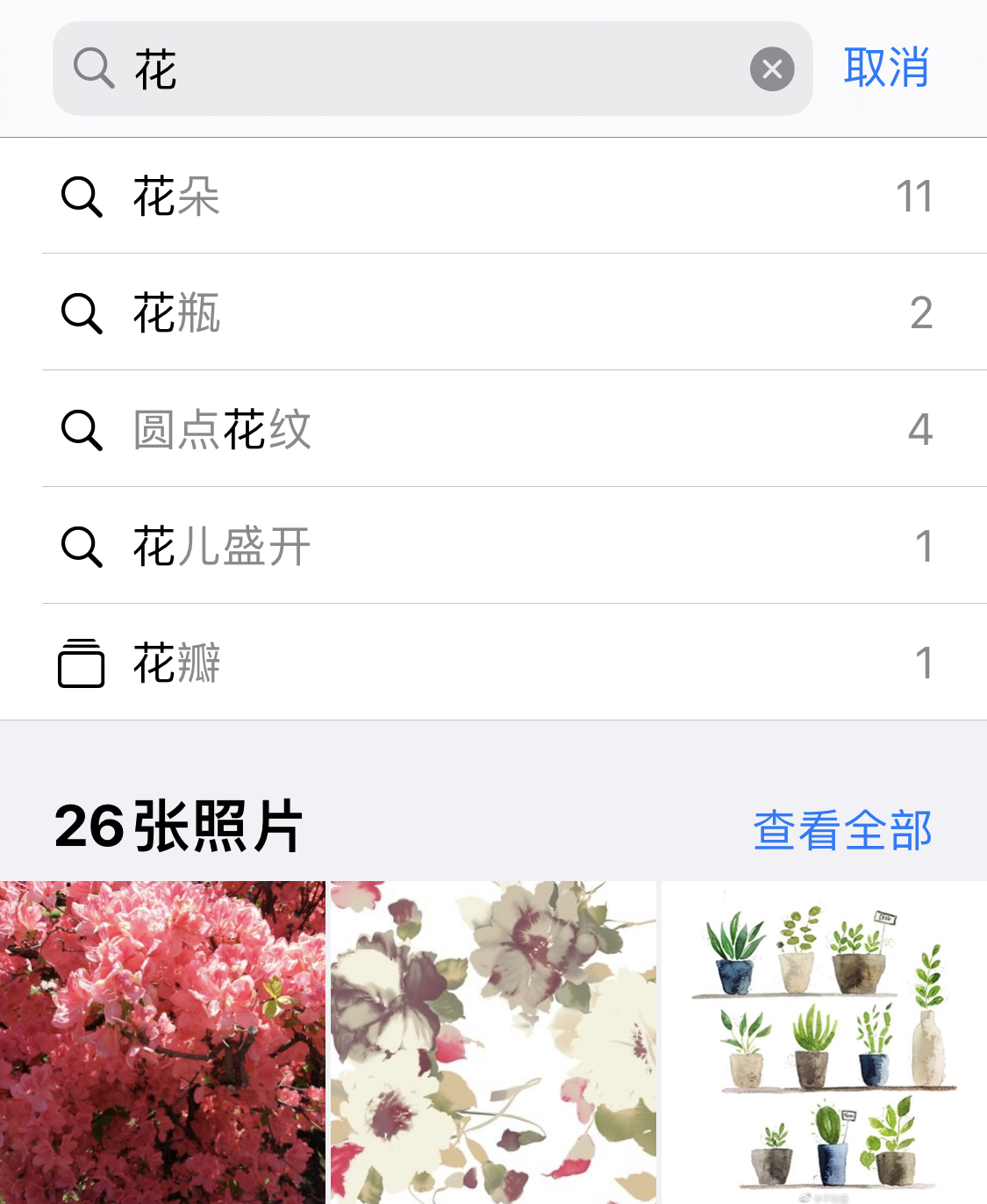 成华苹果手机维修分享iPhone 小技巧 