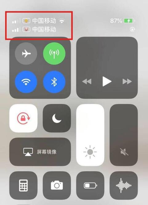 成华苹果手机维修分享为 iPhone 12 双卡设置标签 