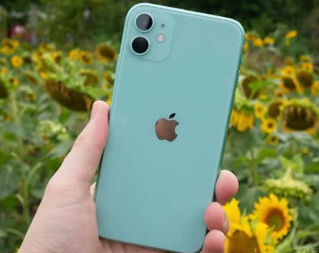 成华苹果维修点分享iPhone 11锁屏密码认知与使用科普 